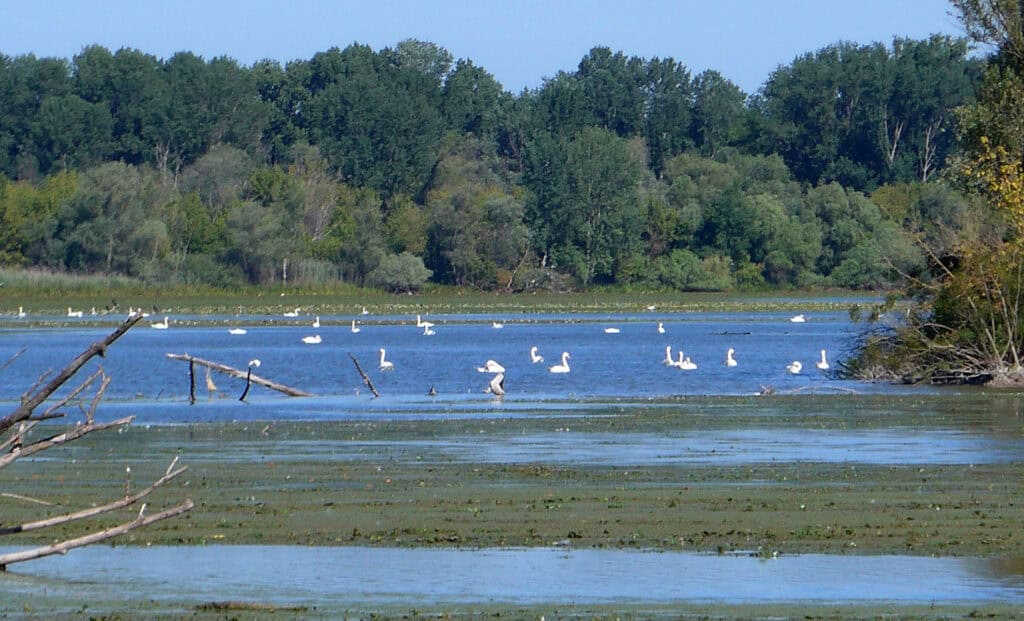 riserva naturale della vallazza