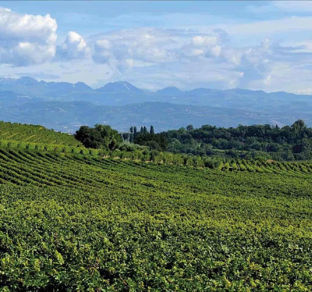 colline moreniche