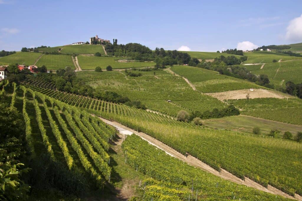 langhe