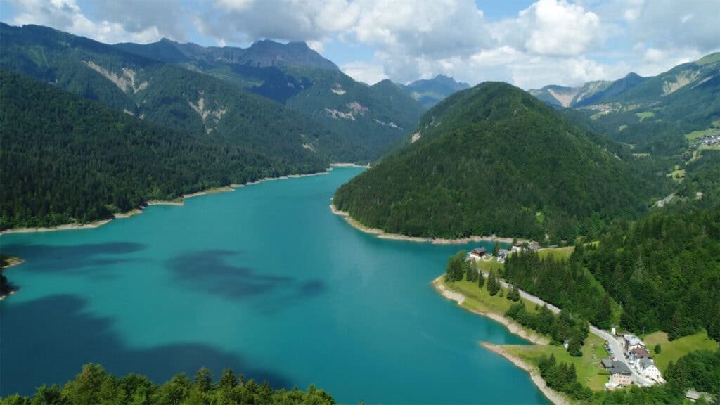 sauris