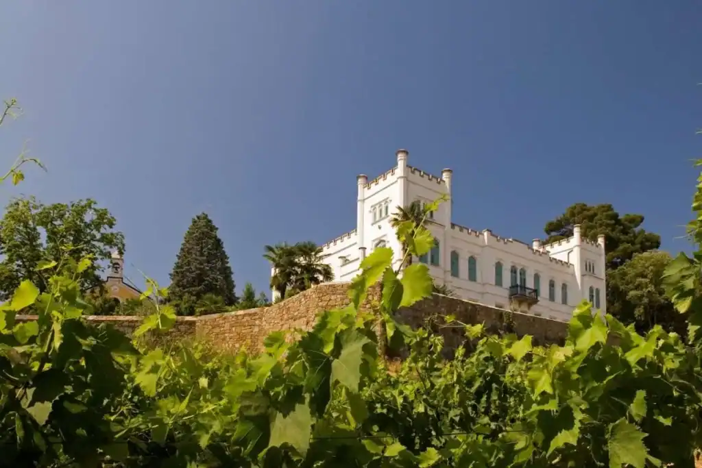 a villa russiz dove si coniuga eccellenza vitivinicola e solidarieta concreta