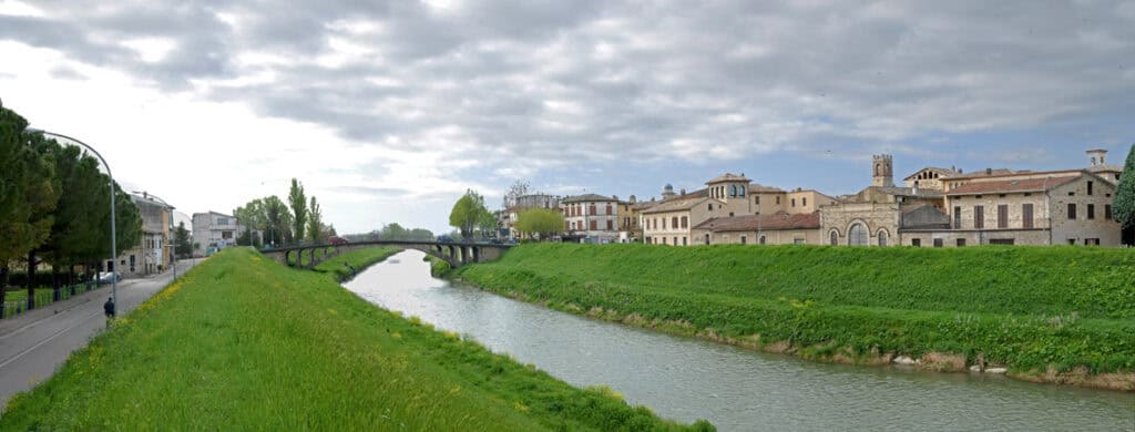 cannara 2008
